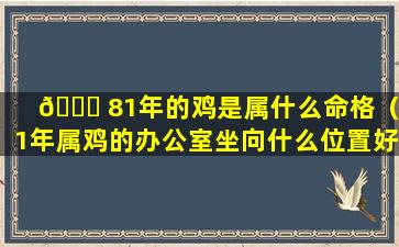 🐞 81年的鸡是属什么命格（81年属鸡的办公室坐向什么位置好）